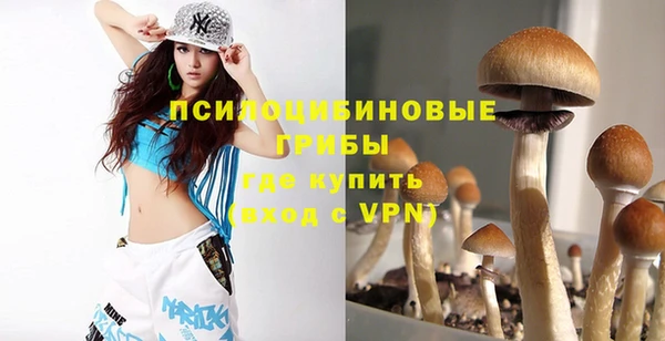 гашиш Вяземский