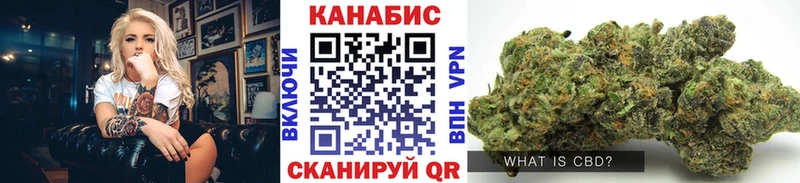 Купить закладки  Нестеров  Шишки марихуана тримм 